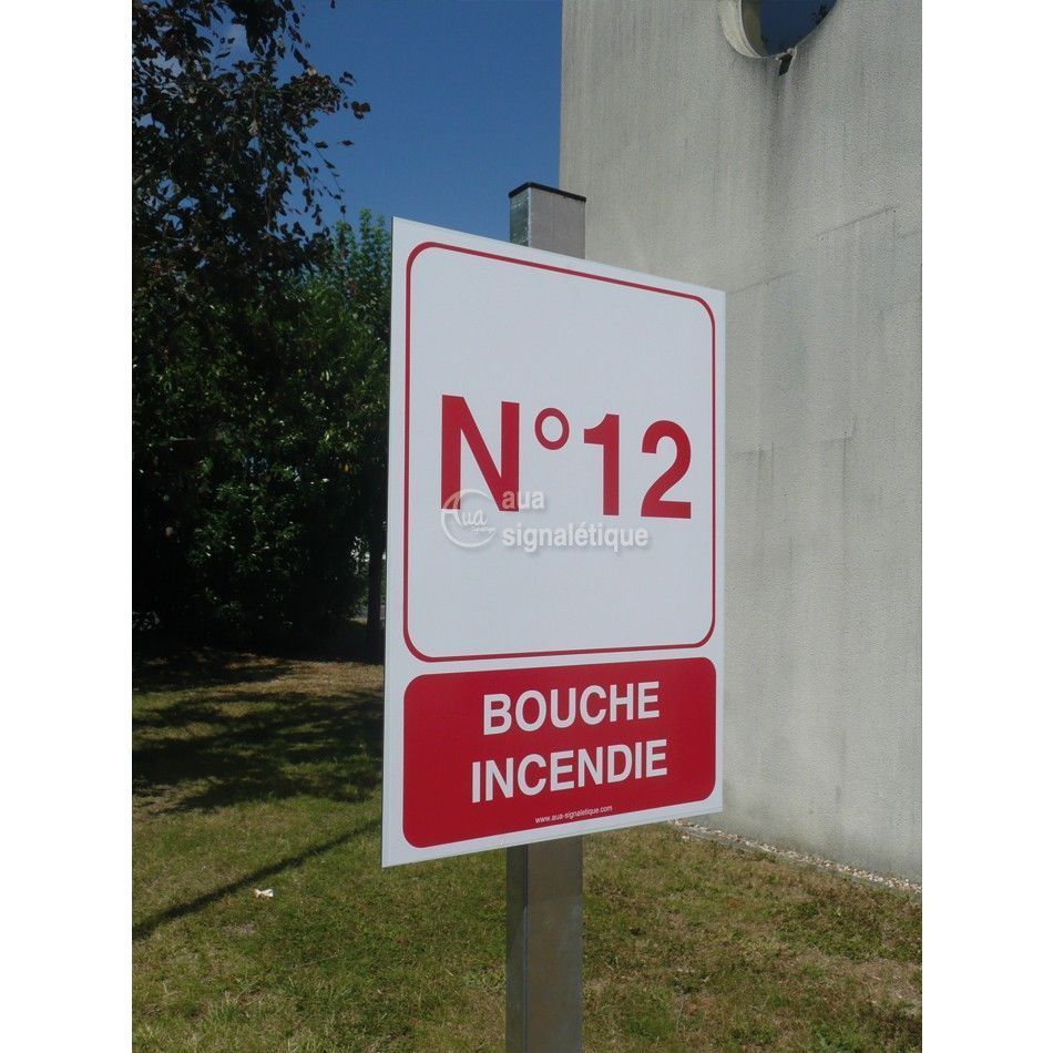 Extra Image 1