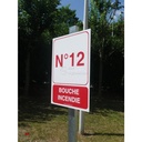 Extra Image 2