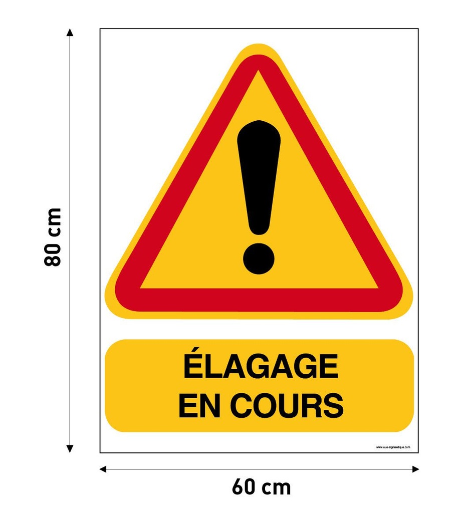 Extra Image 1