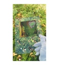 Extra Image 5