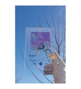 Extra Image 7