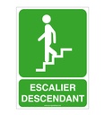 Panneau Escalier descendant-AI