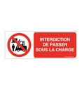Panneau Interdiction de Passer sous la Charge 02