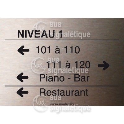 [1631195] Directionnelle Personnalisé Cuivre Brossé