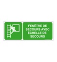 Fenêtre de secours avec échelle de secours E016-B