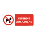 Interdit aux chiens P021-B