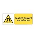Danger, Champs magnétique W006-B