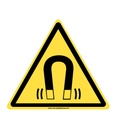 Danger, Champs magnétique W006