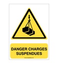 Danger, Charges suspendues W015-AI