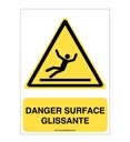 Panneau Danger, Surface glissante - AI