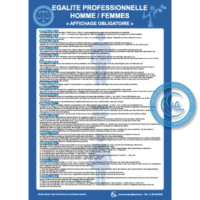 [2090-F_6] Consignes Égalité Professionnelle entre les Hommes et les Femmes (A3 300 x 420 mm, Vinyle Autocollant)